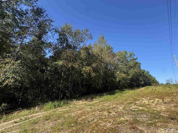 15.2 Acres of Land for Sale in Flomaton, Alabama