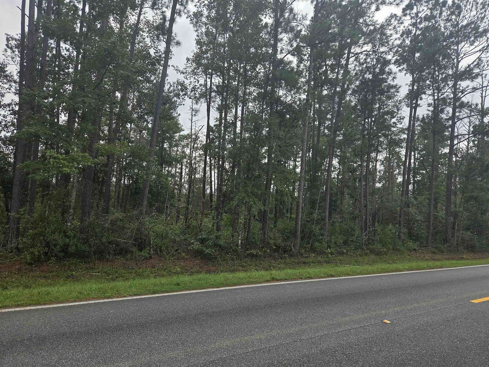 5 Acres of Land for Sale in Bristol, Florida