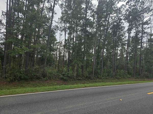 5 Acres of Land for Sale in Bristol, Florida