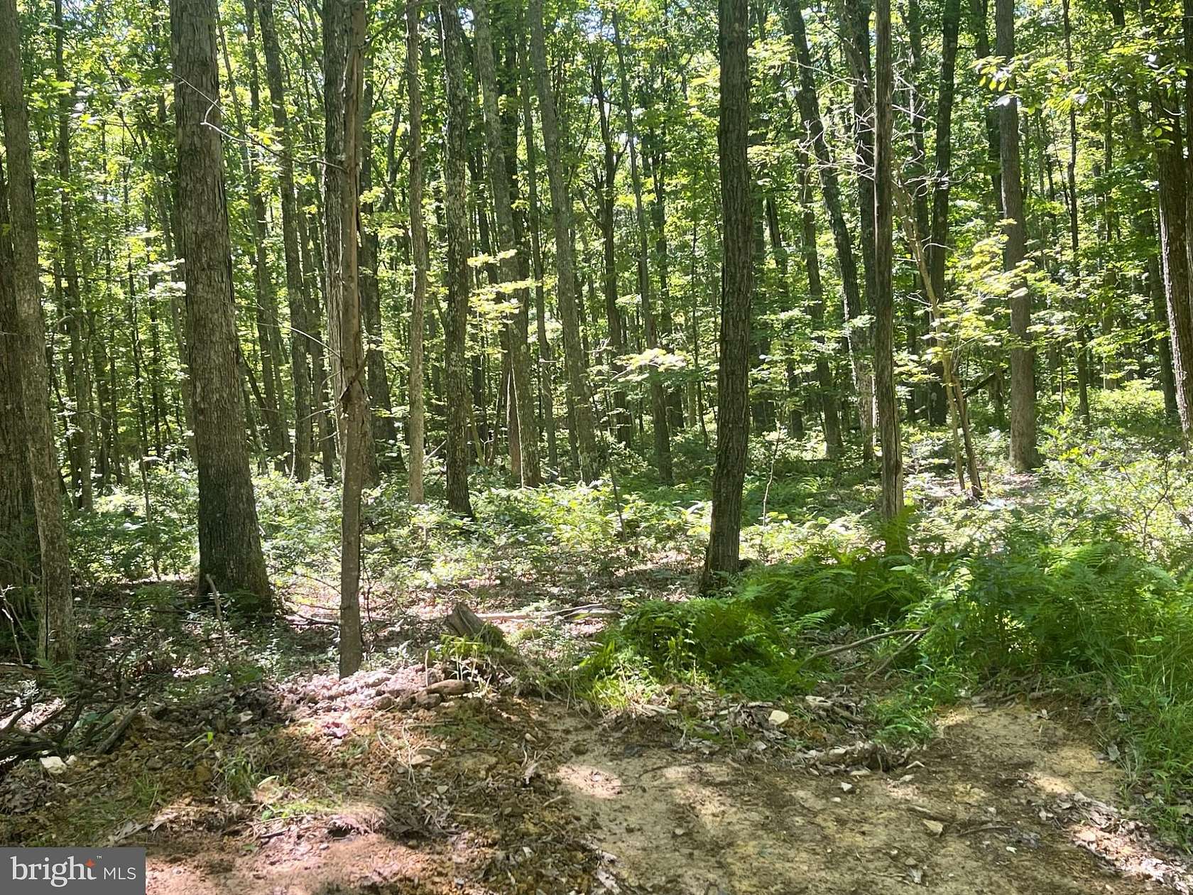 12.4 Acres of Recreational Land for Sale in Elk Garden, West Virginia