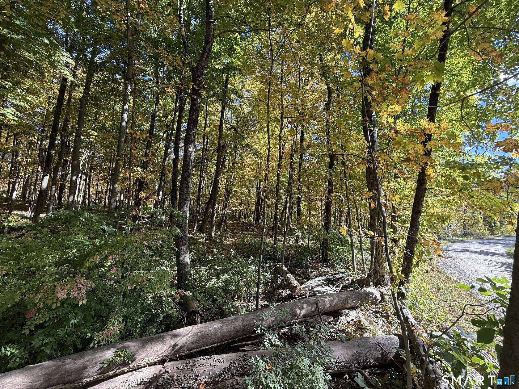 5.14 Acres of Residential Land for Sale in Sharon, Connecticut