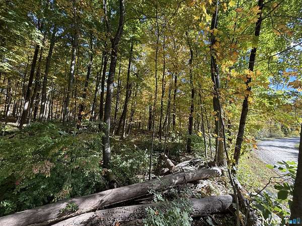 5.14 Acres of Residential Land for Sale in Sharon, Connecticut