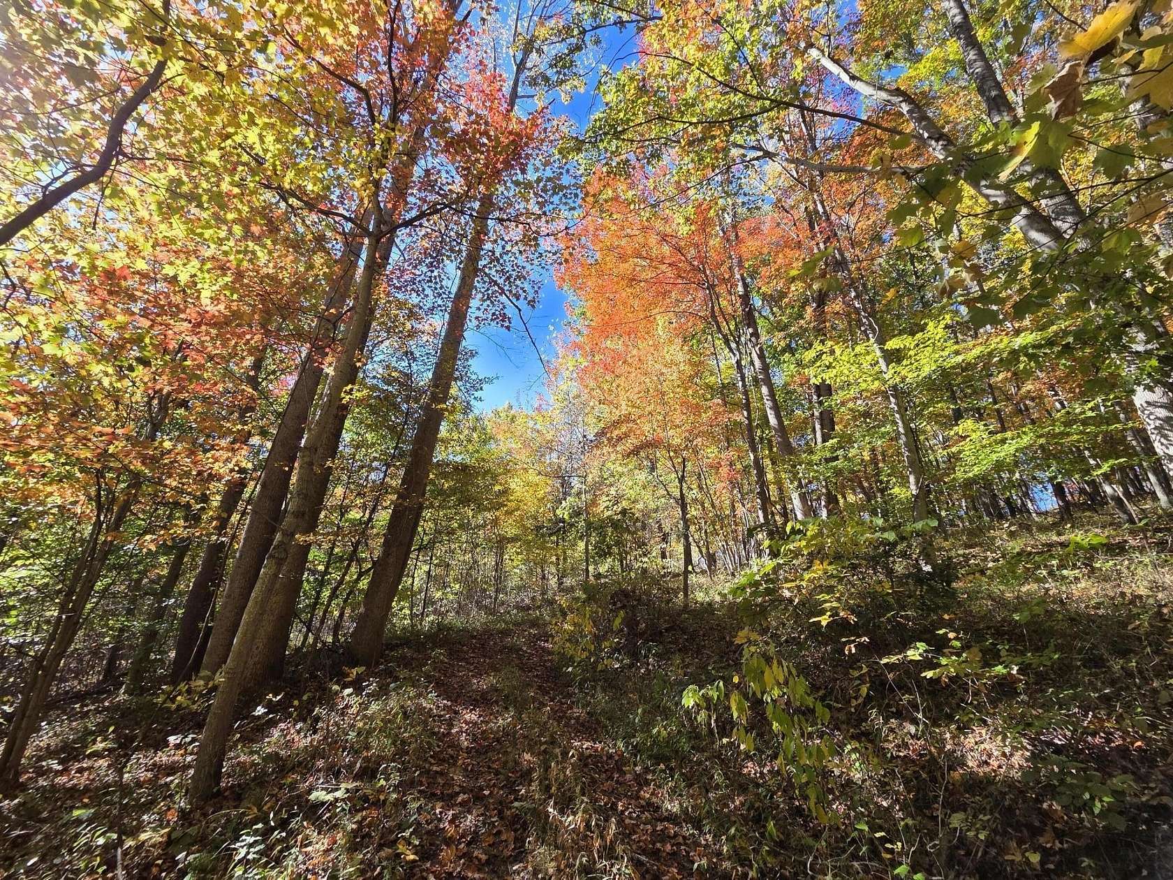 16.5 Acres of Recreational & Residential Land for Sale in Peterstown, West Virginia