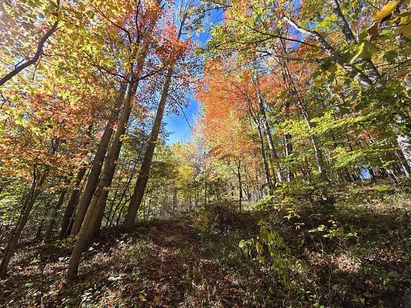 16.5 Acres of Recreational & Residential Land for Sale in Peterstown, West Virginia