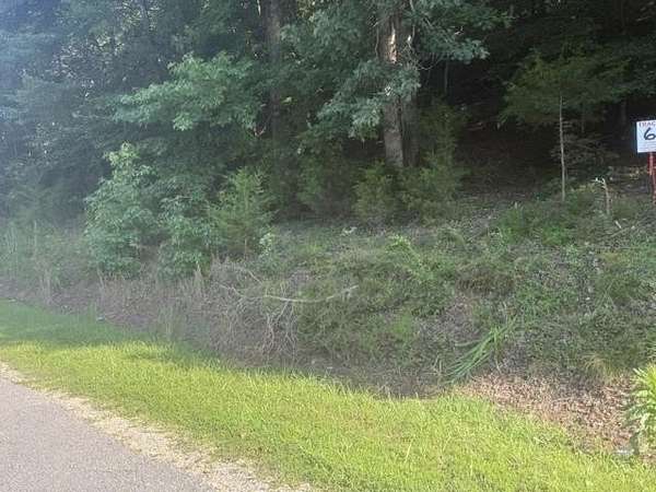 16 Acres of Land for Sale in Waynesboro, Tennessee