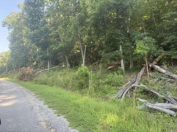 16.5 Acres of Land for Sale in Waynesboro, Tennessee