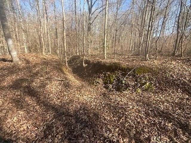 9 Acres of Land for Sale in Bolivar, Tennessee