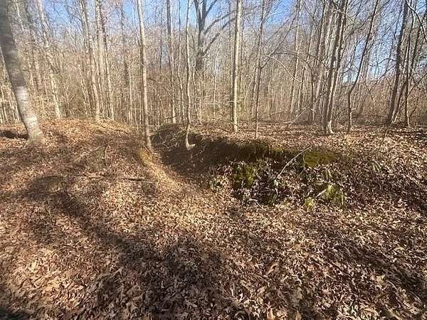 9 Acres of Land for Sale in Bolivar, Tennessee