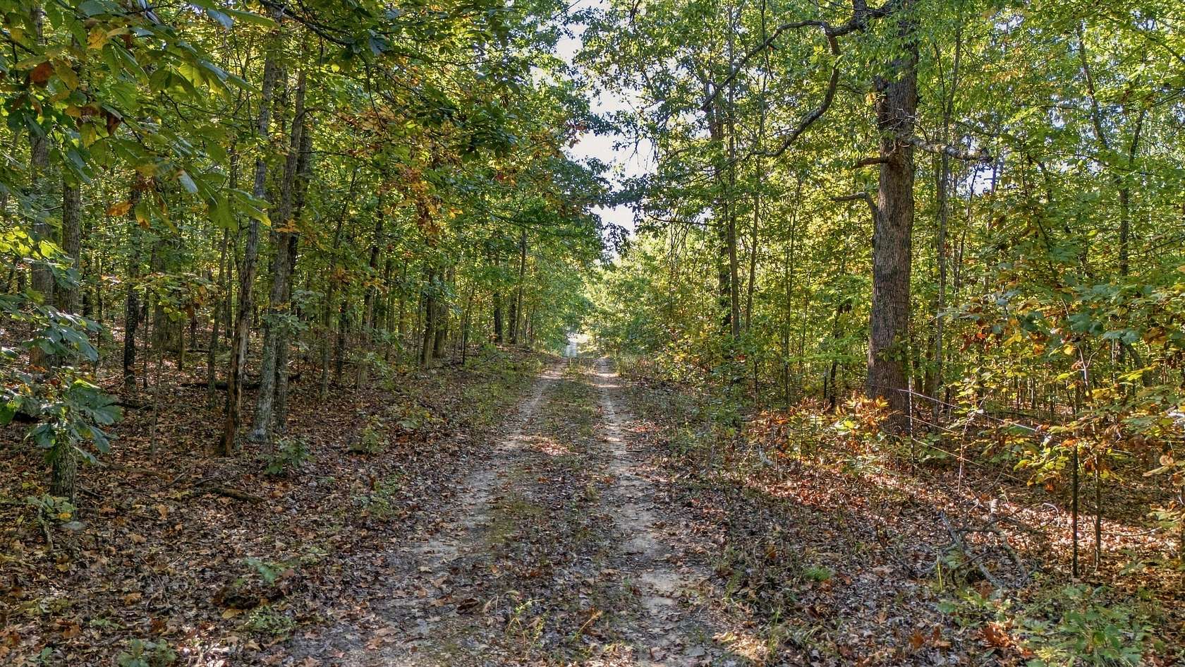 24.8 Acres of Recreational & Residential Land for Sale in West Plains, Missouri