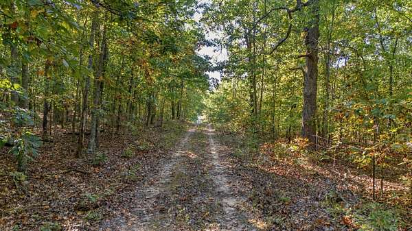 24.8 Acres of Recreational & Residential Land for Sale in West Plains, Missouri