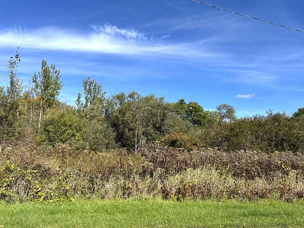 1.33 Acres of Residential Land for Sale in New Era, Michigan