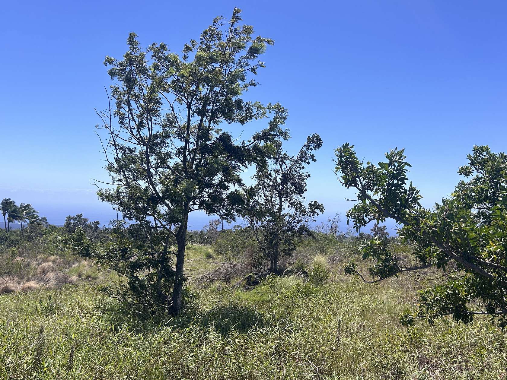 1 Acre of Residential Land for Sale in Hawaiian Ocean View, Hawaii