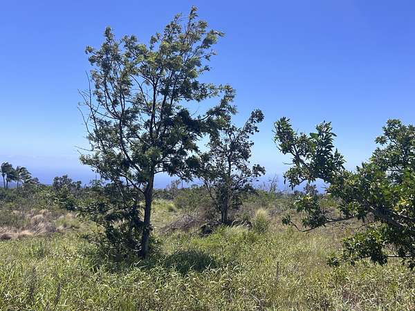 1 Acre of Residential Land for Sale in Hawaiian Ocean View, Hawaii
