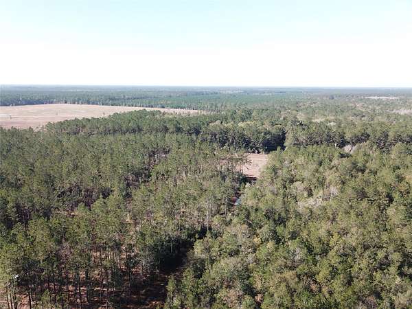 125 Acres of Recreational Land for Sale in Kountze, Texas