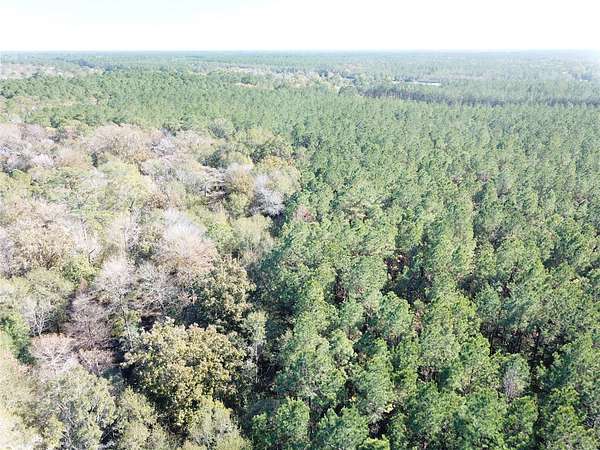 425 Acres of Recreational Land for Sale in Kountze, Texas