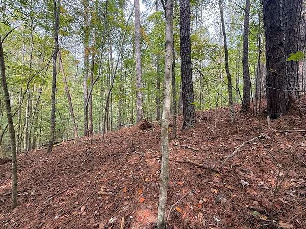 1 Acre of Residential Land for Sale in Ellijay, Georgia