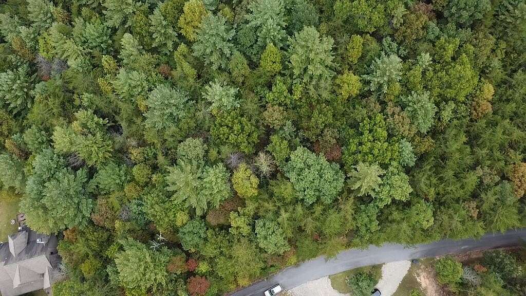 2.5 Acres of Residential Land for Sale in Blairsville, Georgia