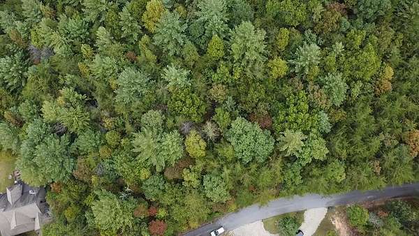 2.5 Acres of Residential Land for Sale in Blairsville, Georgia