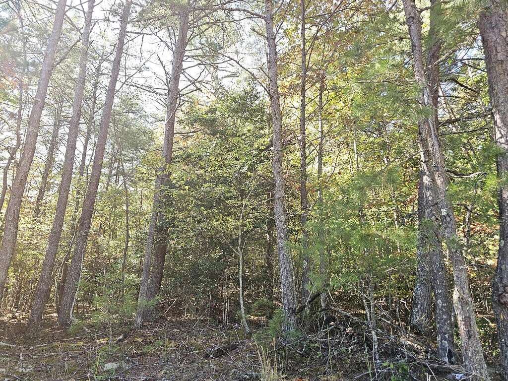 3 Acres of Land for Sale in Morganton, Georgia