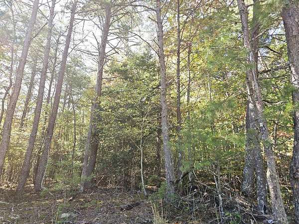 3 Acres of Land for Sale in Morganton, Georgia
