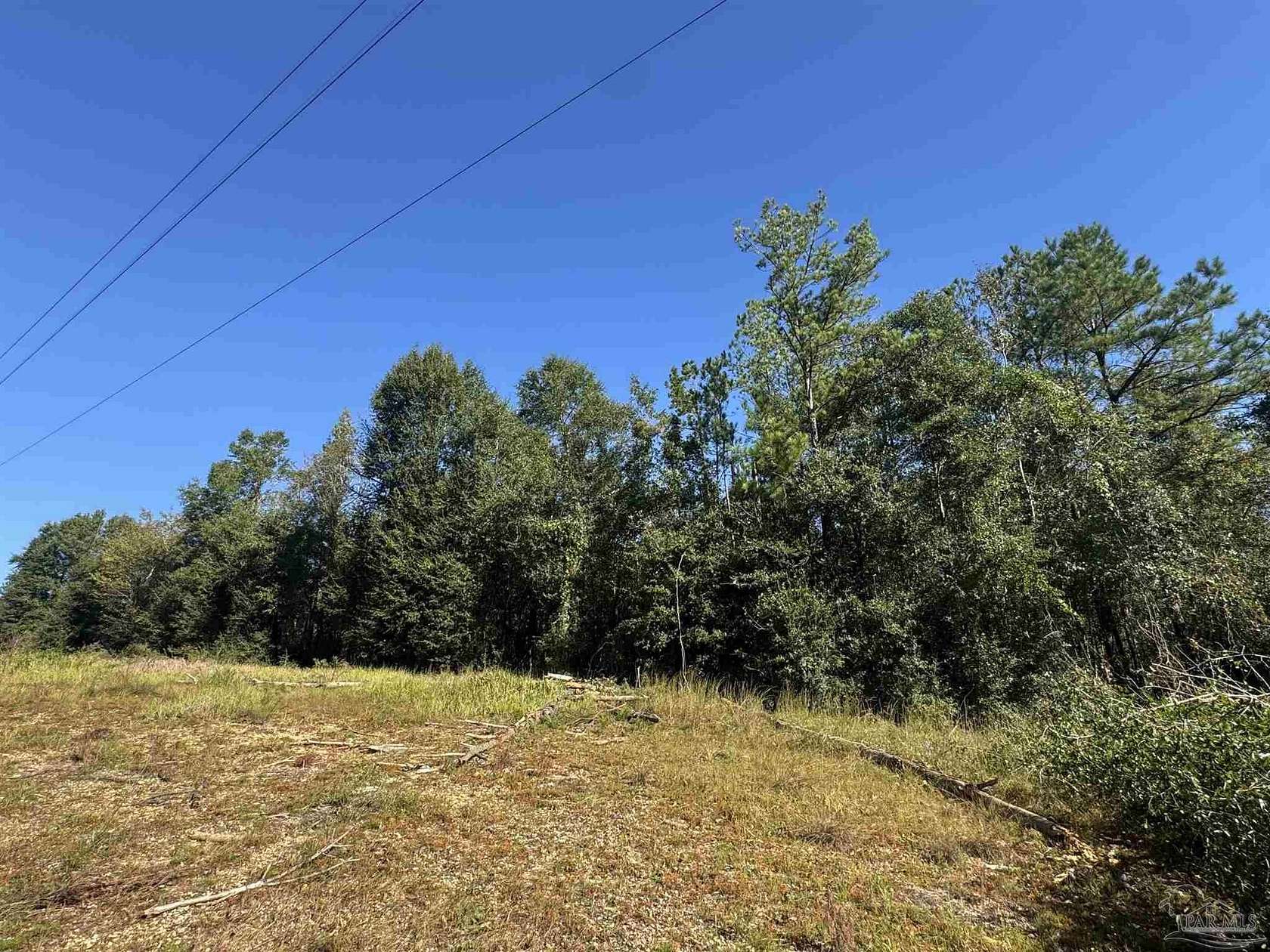 25.4 Acres of Recreational & Residential Land for Sale in Flomaton, Alabama