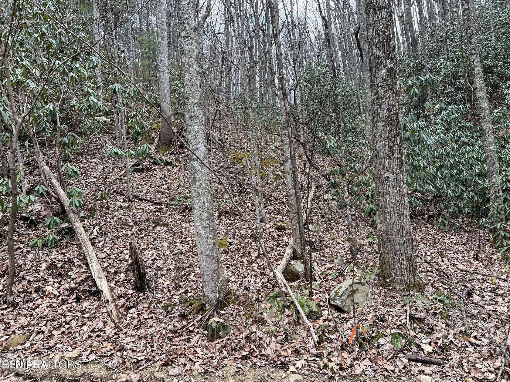 0.34 Acres of Residential Land for Sale in Sevierville, Tennessee