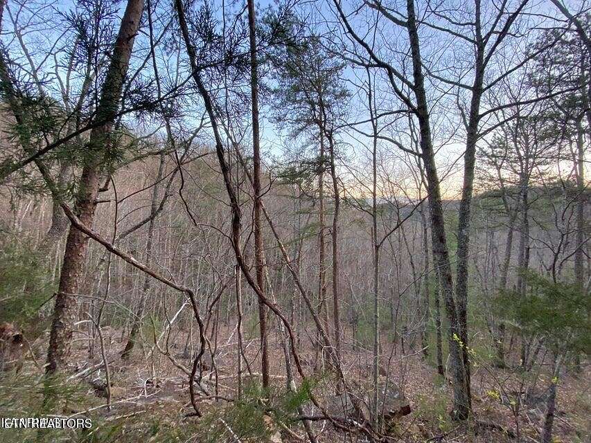 0.39 Acres of Residential Land for Sale in Sevierville, Tennessee