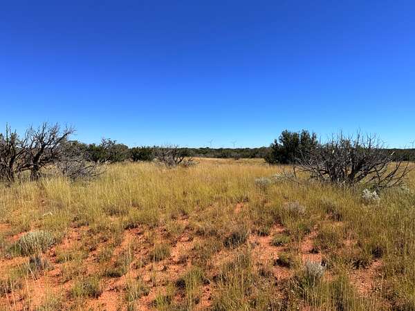38 Acres of Recreational & Residential Land for Sale in Winslow, Arizona