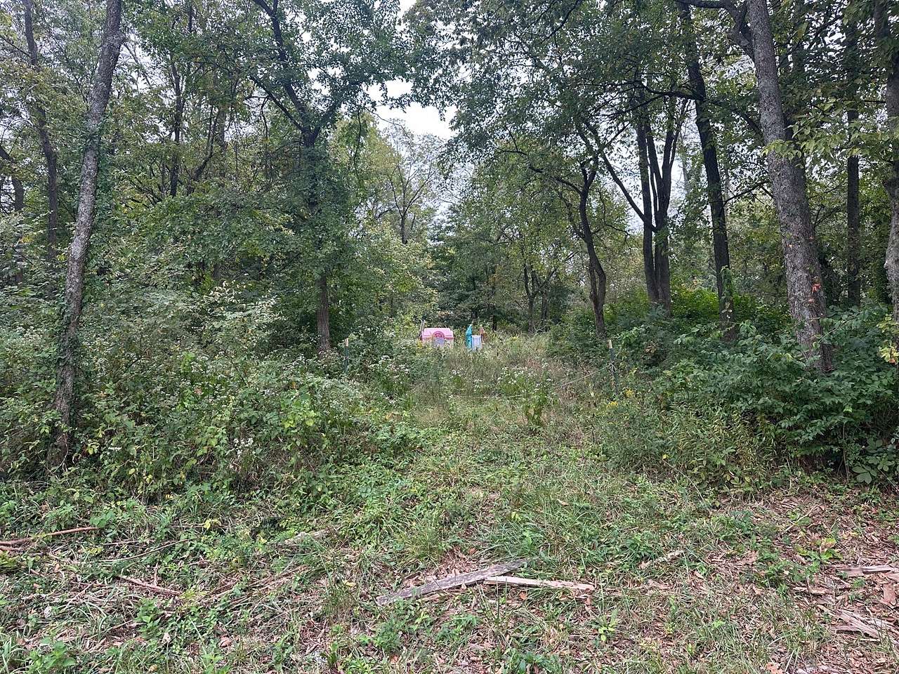 8.14 Acres of Land for Sale in Folsom, Kentucky