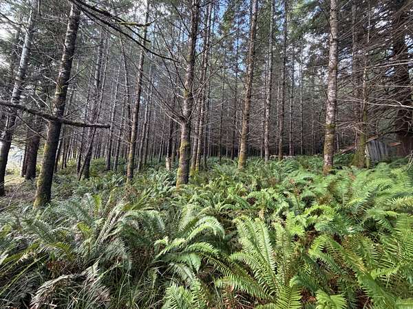10.8 Acres of Recreational Land for Sale in Willapa, Washington