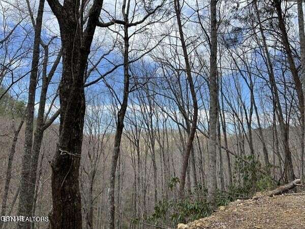 0.38 Acres of Residential Land for Sale in Sevierville, Tennessee