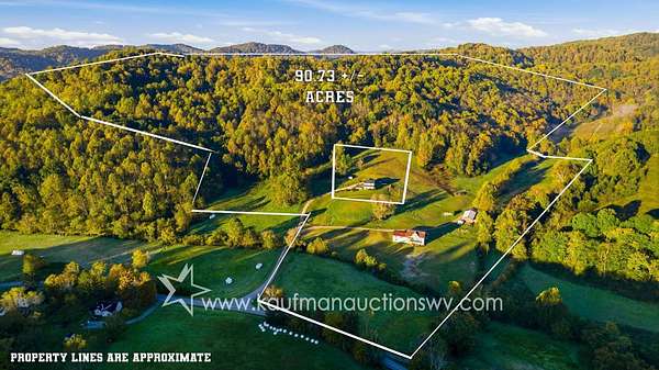90 Acres of Recreational & Residential Land for Auction in Flemington, West Virginia