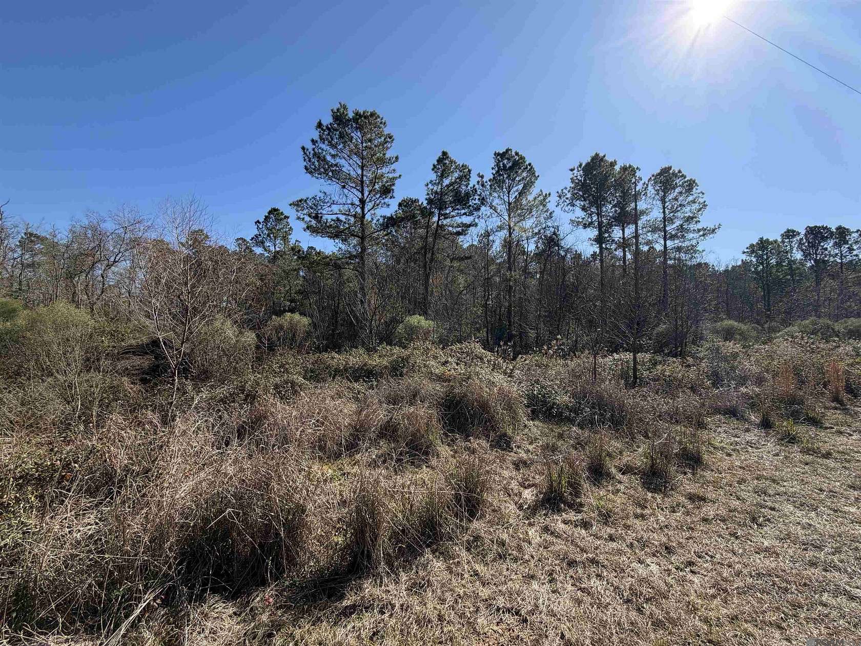 0.6 Acres of Residential Land for Sale in Livingston, Louisiana