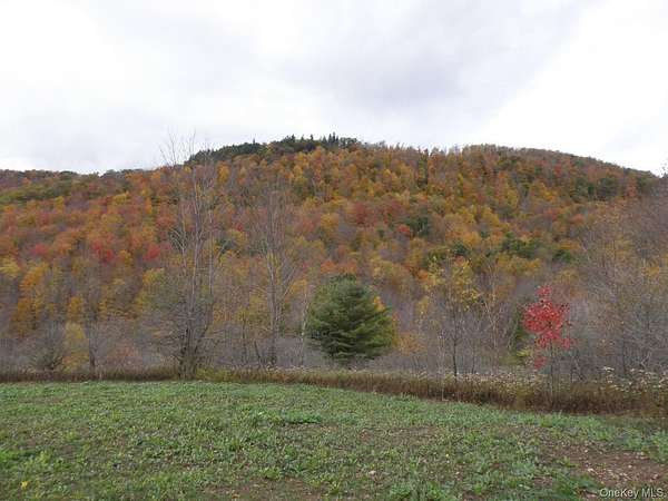 64.6 Acres of Land for Sale in Hamden, New York