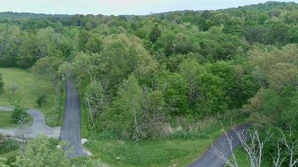 4.56 Acres of Land for Sale in Princeton, Kentucky