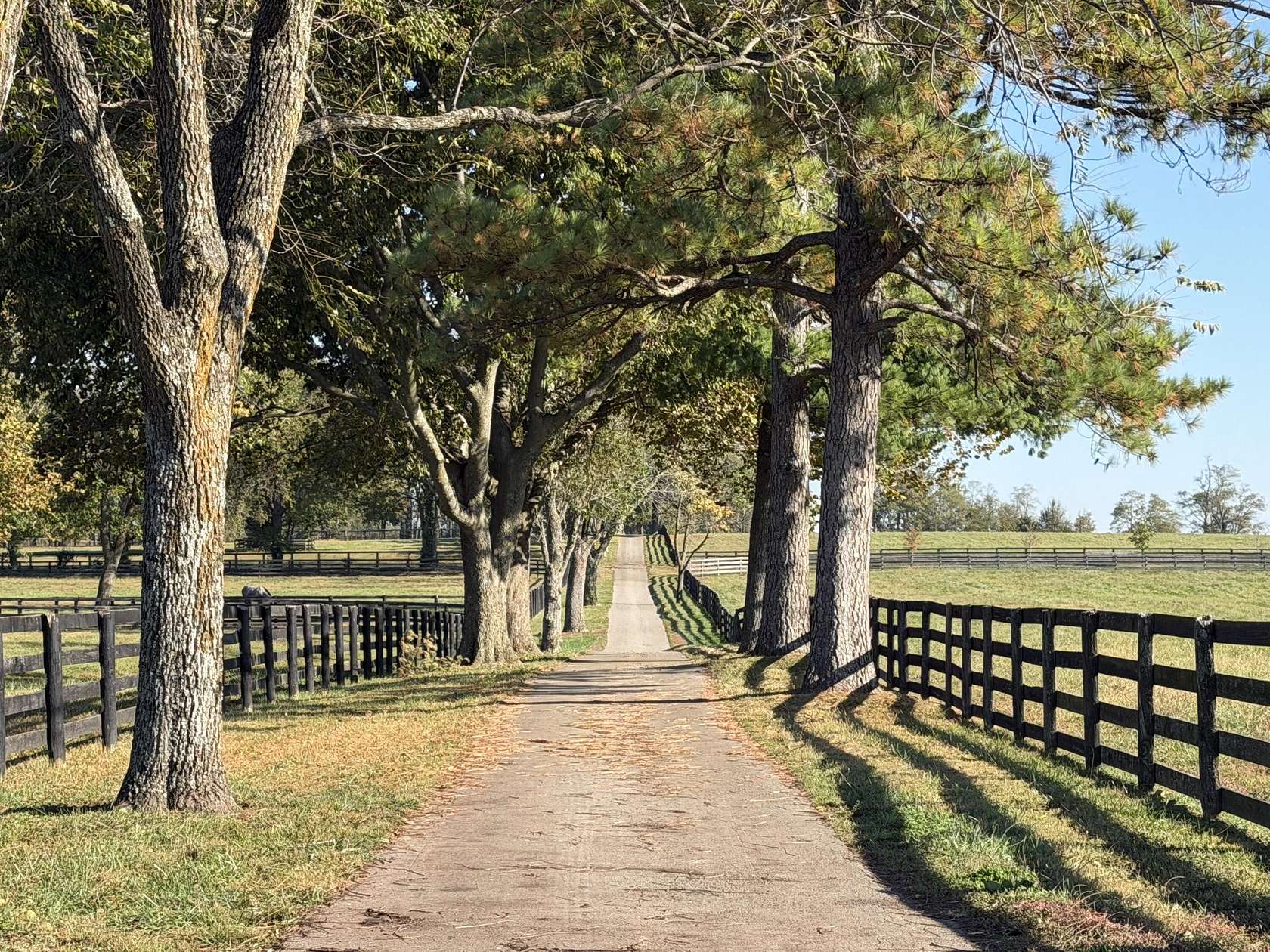 420 Acres of Agricultural Land with Home for Sale in Nicholasville, Kentucky