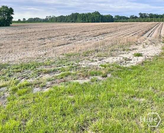 11.8 Acres of Agricultural Land for Sale in Brooklet, Georgia