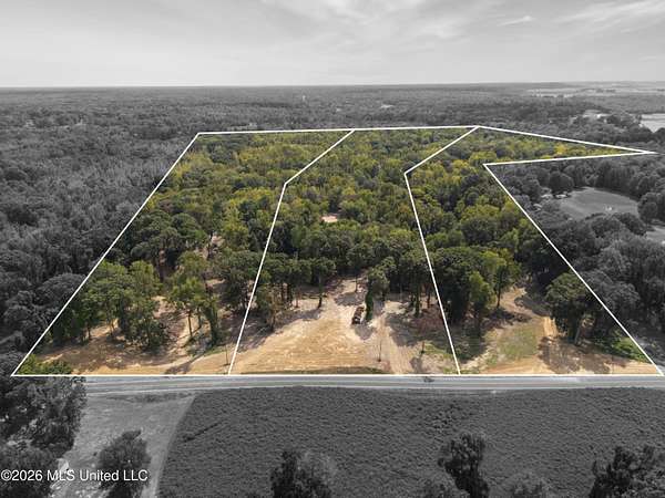 39 Acres of Recreational & Residential Land for Sale in Walls, Mississippi