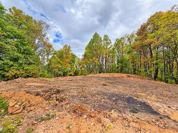 17.4 Acres of Recreational & Residential Land for Sale in Bud, West Virginia