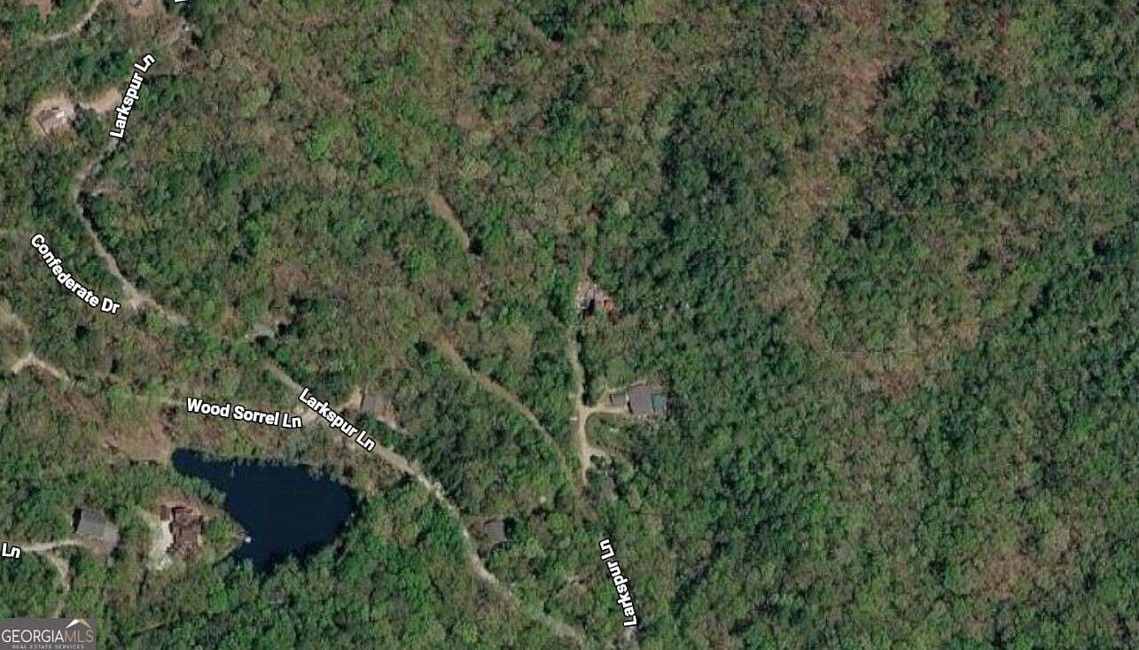Land for Sale in Clayton, Georgia