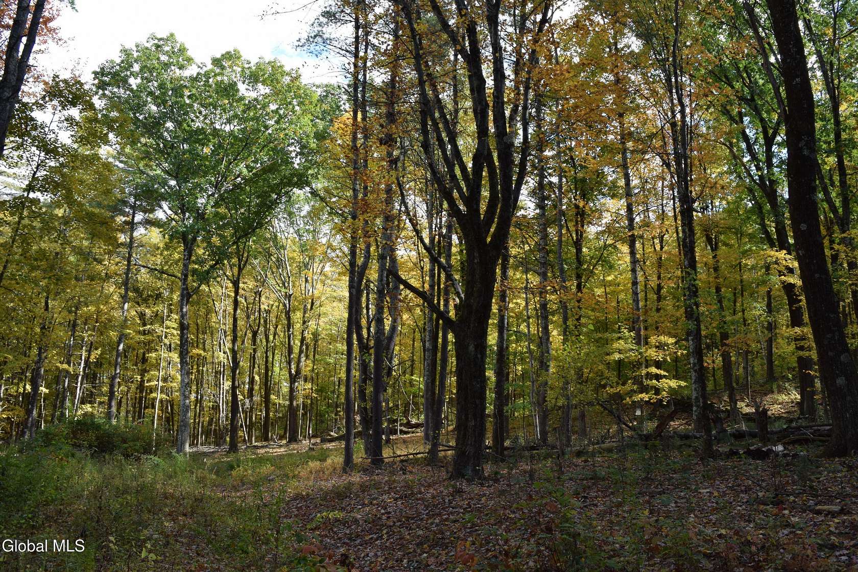 5 Acres of Residential Land for Sale in Eagle Bridge, New York