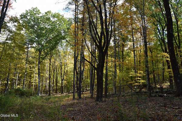5 Acres of Residential Land for Sale in Eagle Bridge, New York