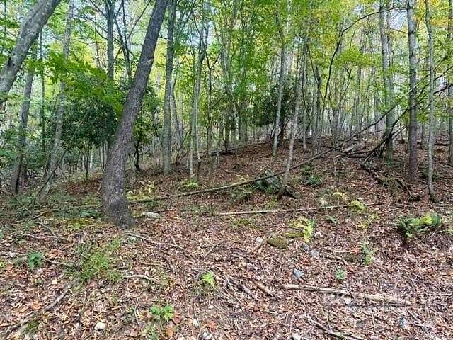 5 Acres of Residential Land for Sale in Grassy Creek, North Carolina