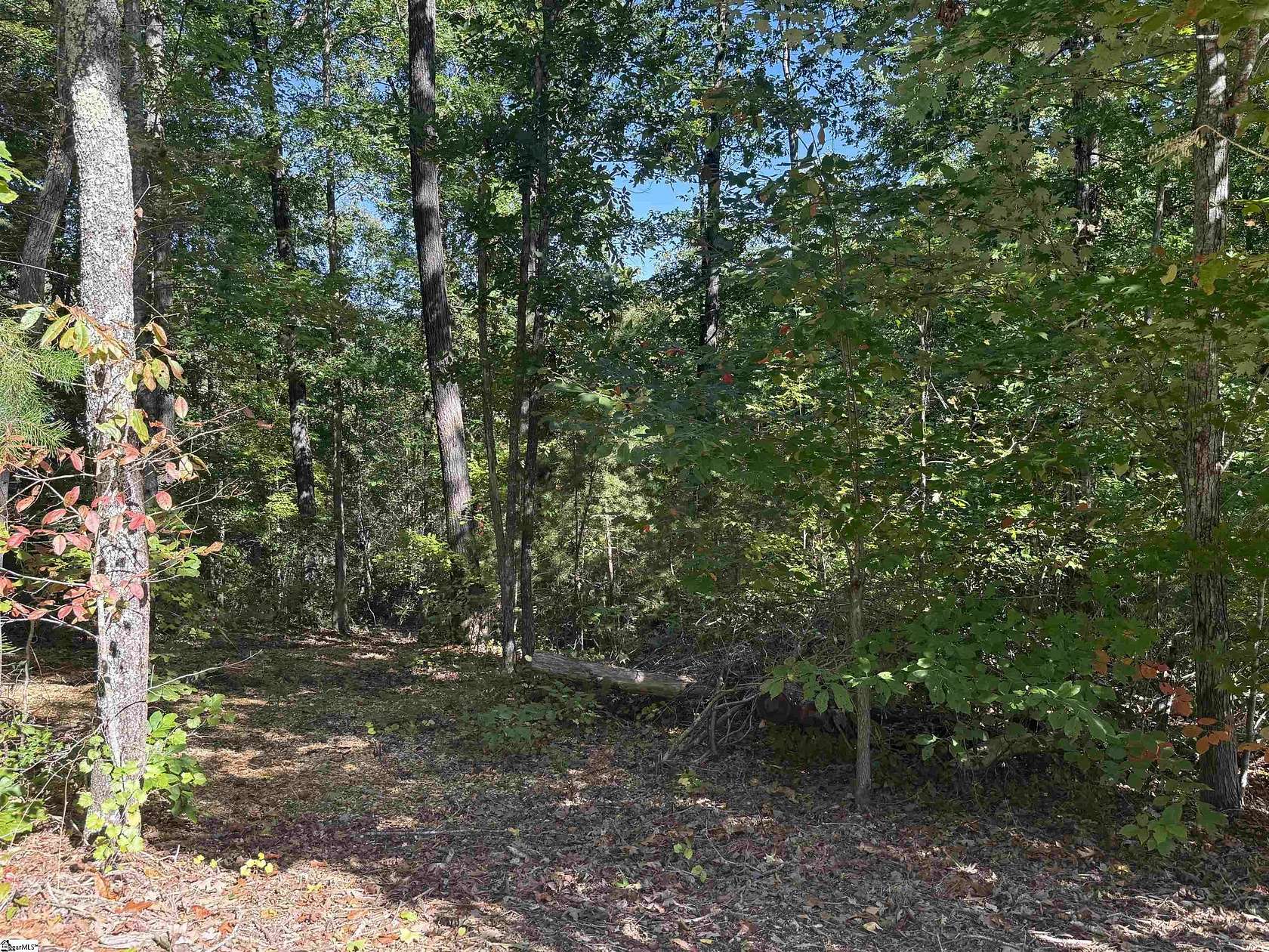 1 Acre of Residential Land for Sale in Travelers Rest, South Carolina