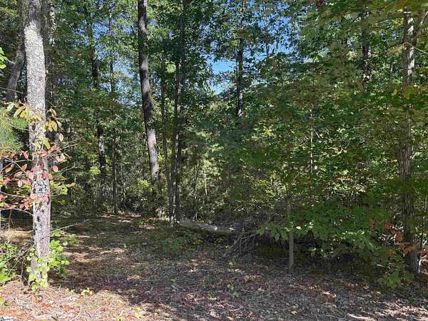 1 Acre of Residential Land for Sale in Travelers Rest, South Carolina