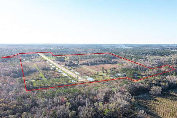 264 Acres of Land for Sale in Lake Butler, Florida