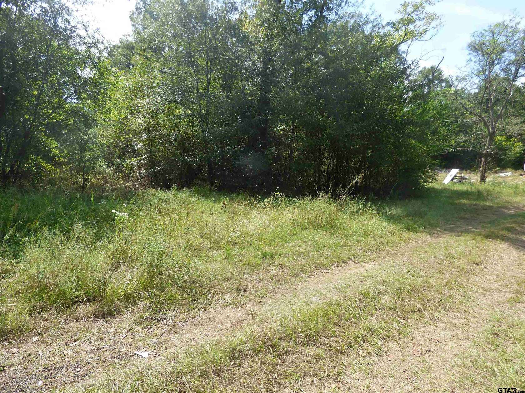 0.66 Acres of Residential Land for Sale in Daingerfield, Texas