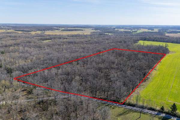 20 Acres of Land for Sale in Raleigh, Illinois