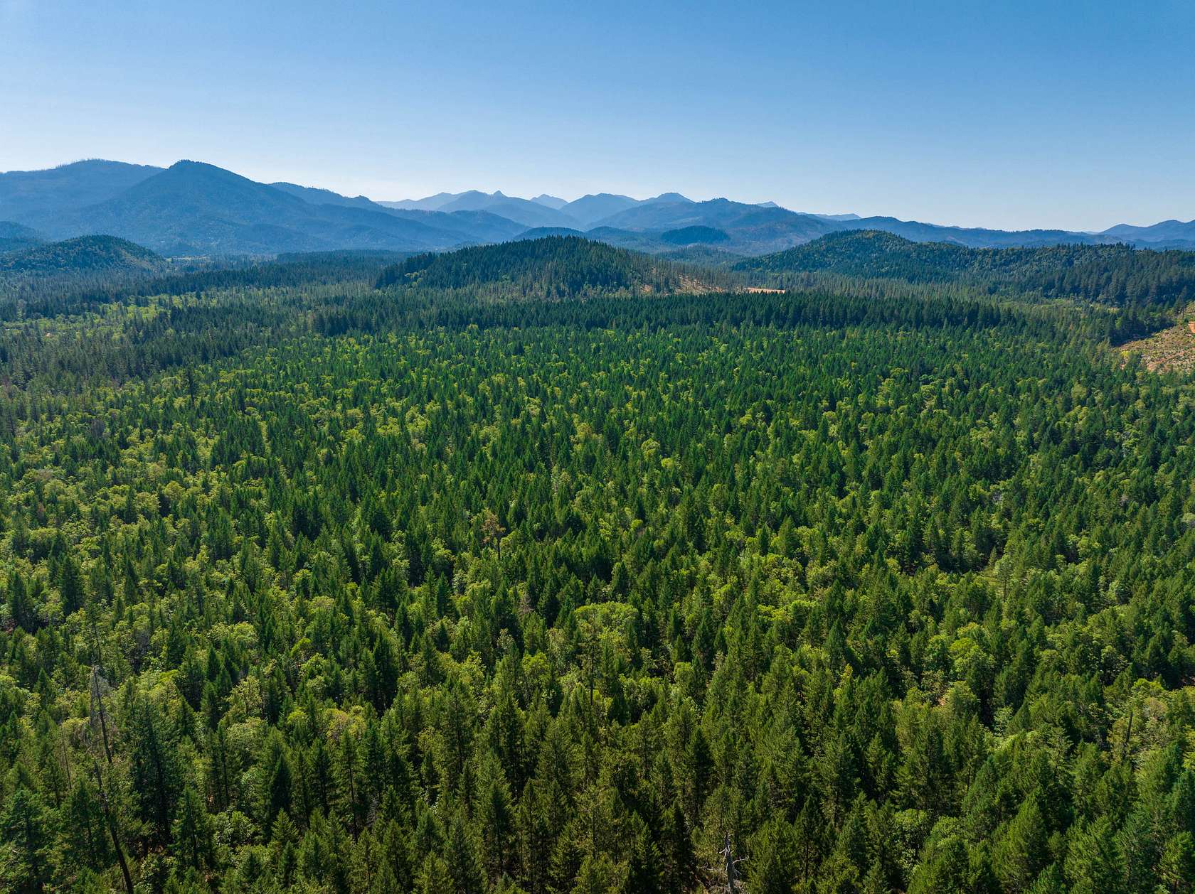160 Acres of Recreational & Residential Land for Sale in Cave Junction, Oregon