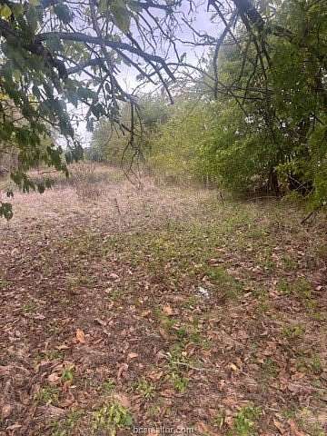 0.29 Acres of Residential Land for Sale in Calvert, Texas